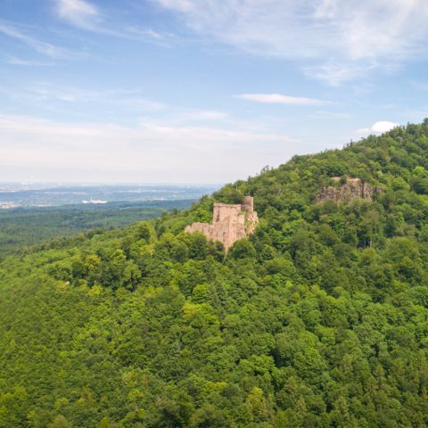 Luftaufnahme von einer Burg auf einem Berg