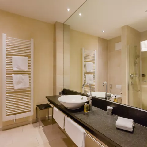 Großes Waschbecken in einem modernen Badezimmer