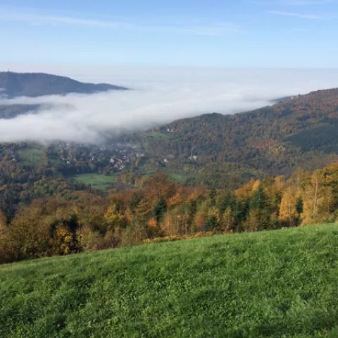 Blick von der Merkur Bergstation