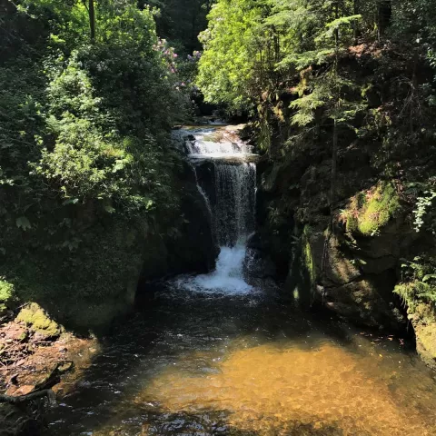Wasserfall Geroldsau am Panoramaweg